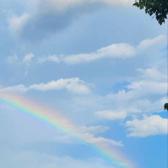 Meet your Posher, Ms. - Picture 1 of 1